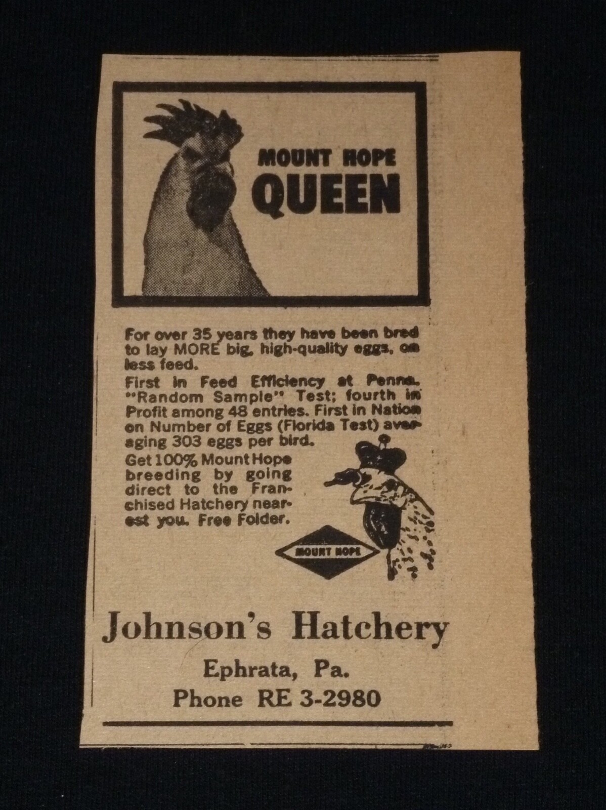 Johnson’s Hatchery – Ephrata, PA – Vintage Clipped Ad – Chickens
