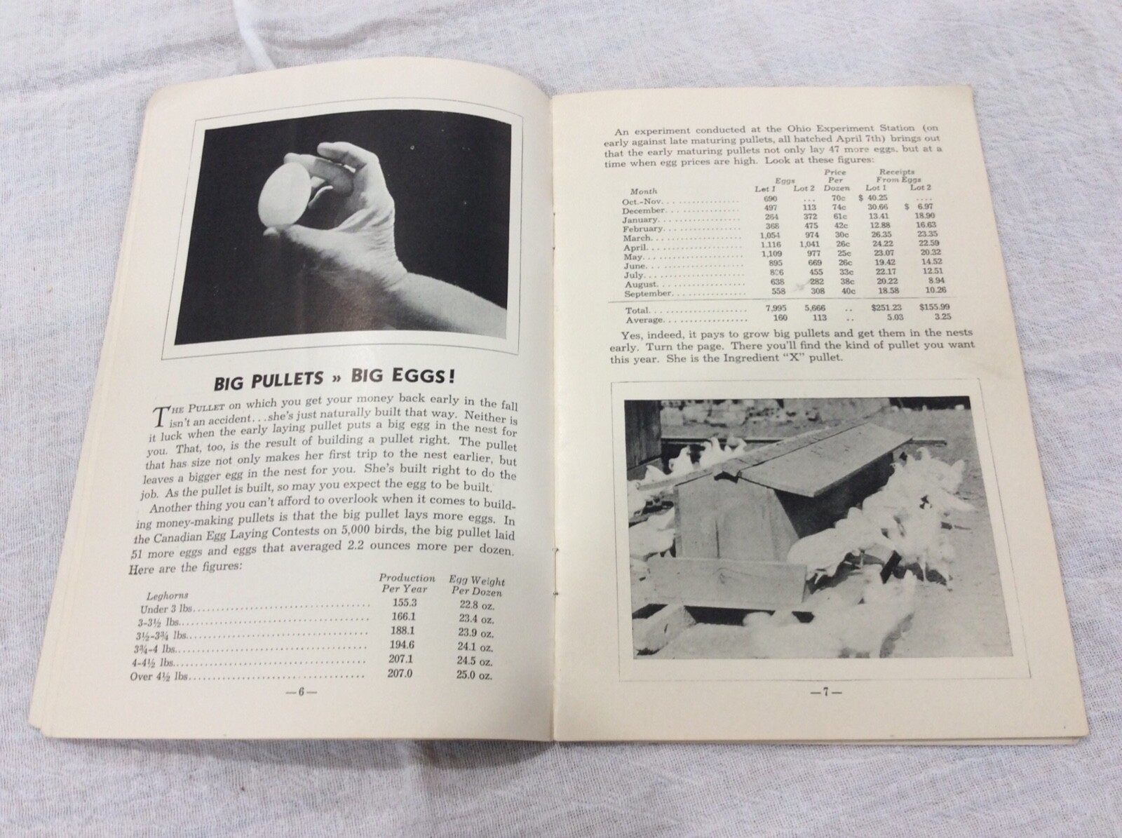 1932 Hens & Pullets Care & Management Booklet By Ralston Purina Agriculture
