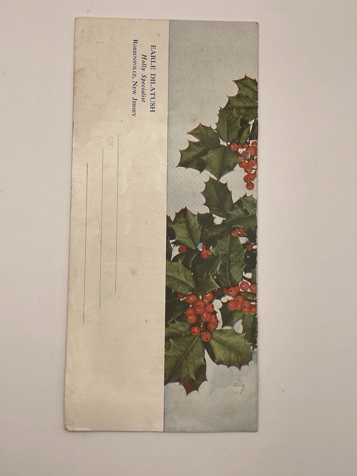 Earle Dilatush Holly Farm/Holly Specialist brochure- New jersey – 4×9