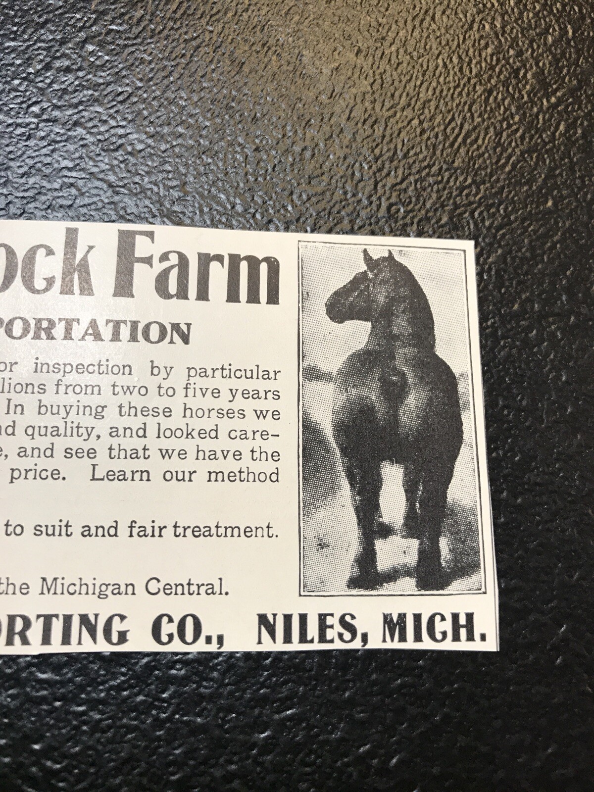 1911 E. Metz Prairie Farm – Horse Advertising – Niles – Michigan