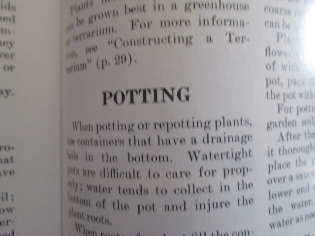 Selecting And Growing House Plants Brochure, U.S. Department Of Agriculture 1976