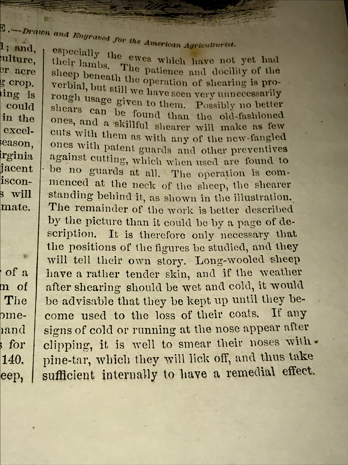 ORIGINAL 1872 Sheep Shearing Farm Engraving Advertising & Article