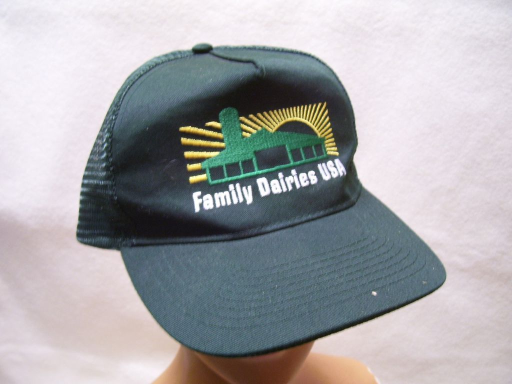 VTG Family Daires USA Snapback/Mesh Hat/Cap Embroidered Never Worn