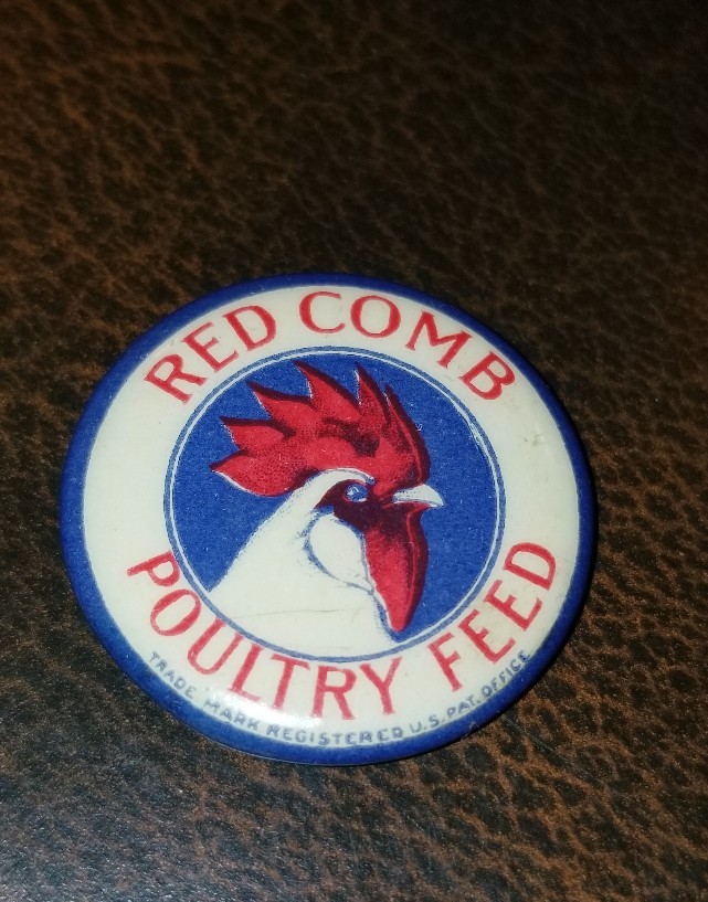 c.1910 RED COMB POULTRY FEED blue border 1 1/8&Prime; celluloid pinback button farm *