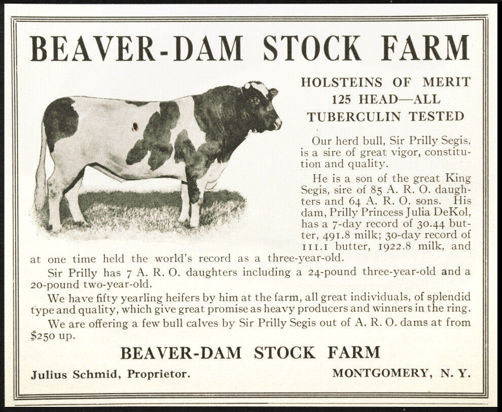 1915 River Meadow Farms HOLSTEIN DAIRY COWS McLaury Bros. NY Antique Vtg AD