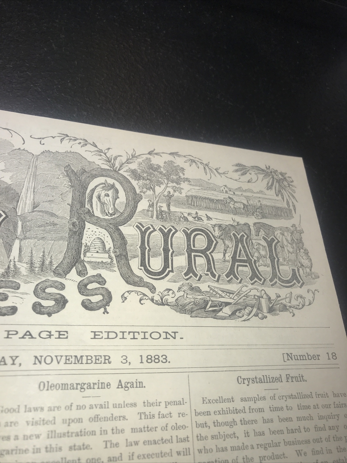 1883 Baden Farm Short Cow Advertising & Article – San Mateo County California