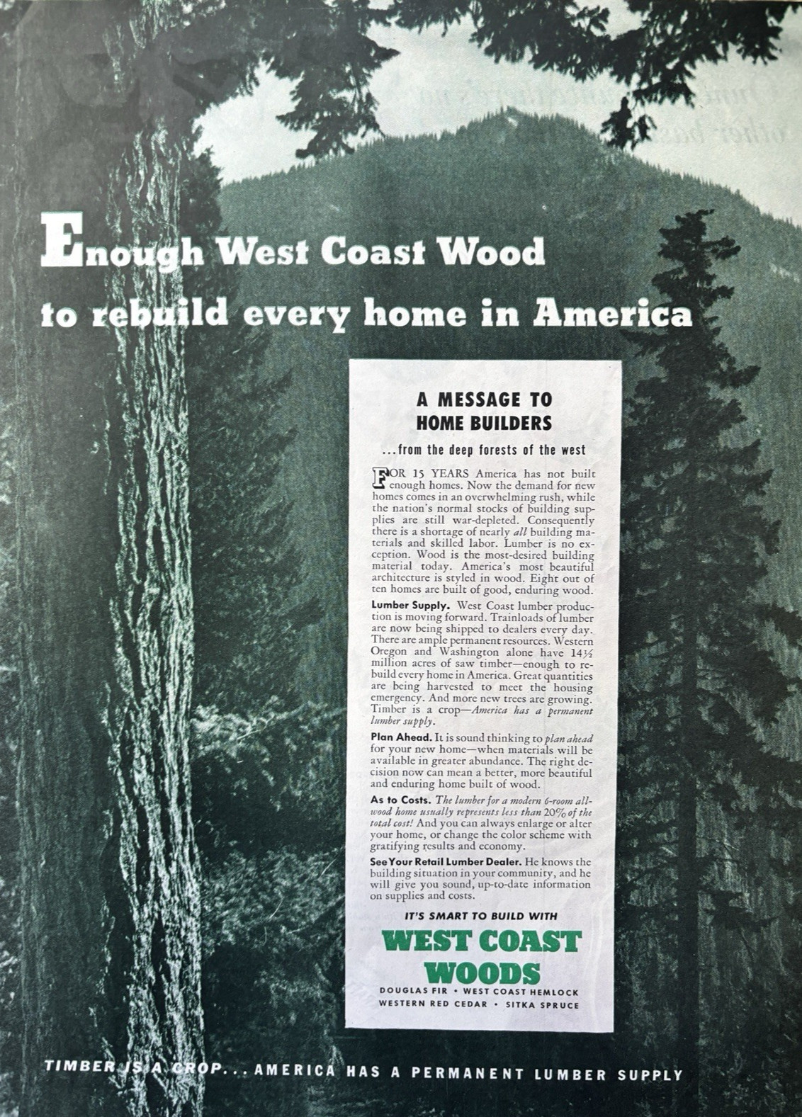 1946 West Coast Woods Timber Build With Home Forests Supplies VTG Print Ad