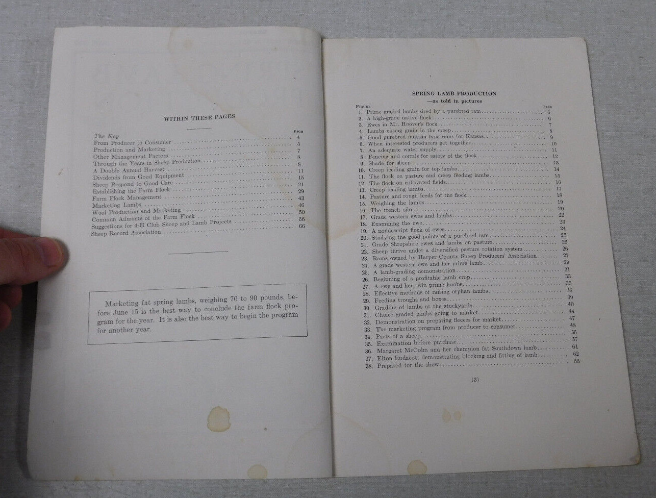 Kansas State College Agriculture bulletin Spring Lamb Production 1938