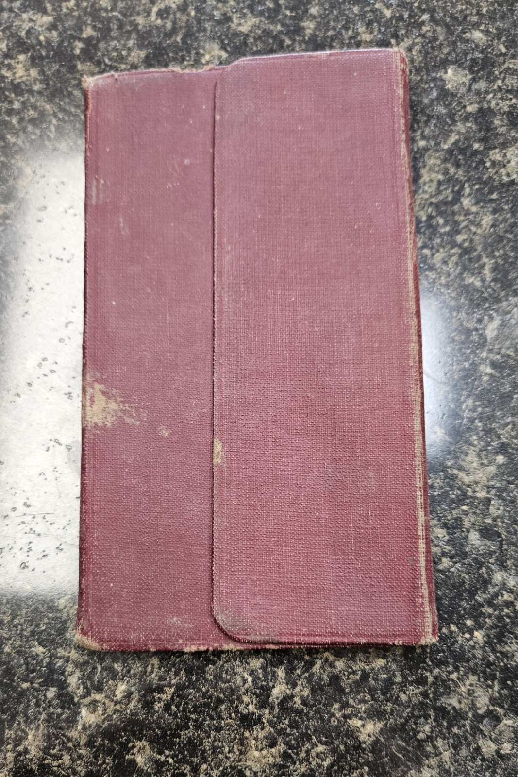 1925–1926 National Live Stock Commission Co. Pocket Ledger Book – Aldrich MO