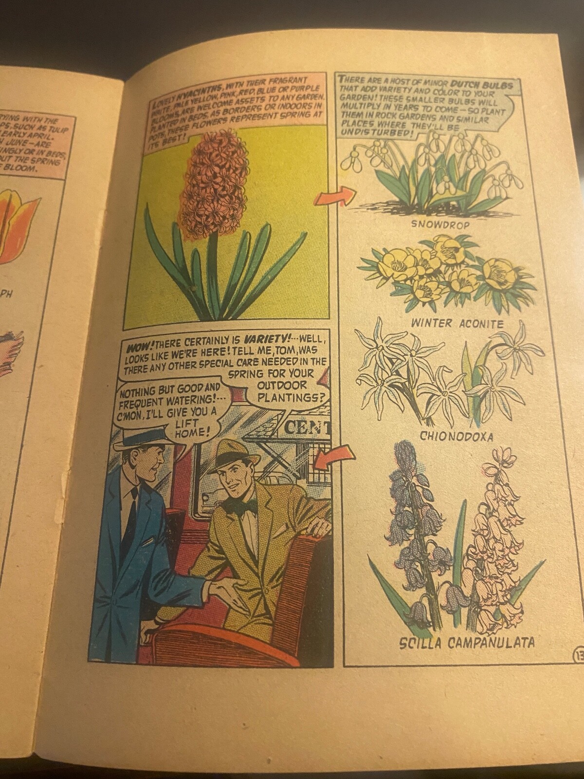 Vintage Ephemera – 1956 Bulb Magic Pamphlet – Bulb Growers Of Holland
