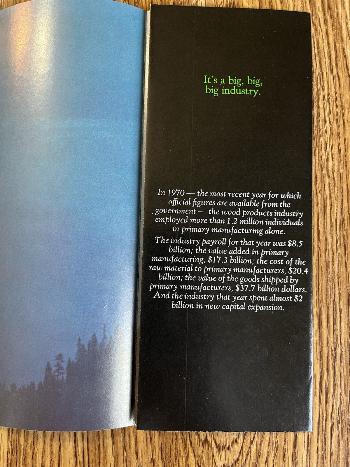 1970s American Forest Institute Vintage Brochure Forest Industry Management