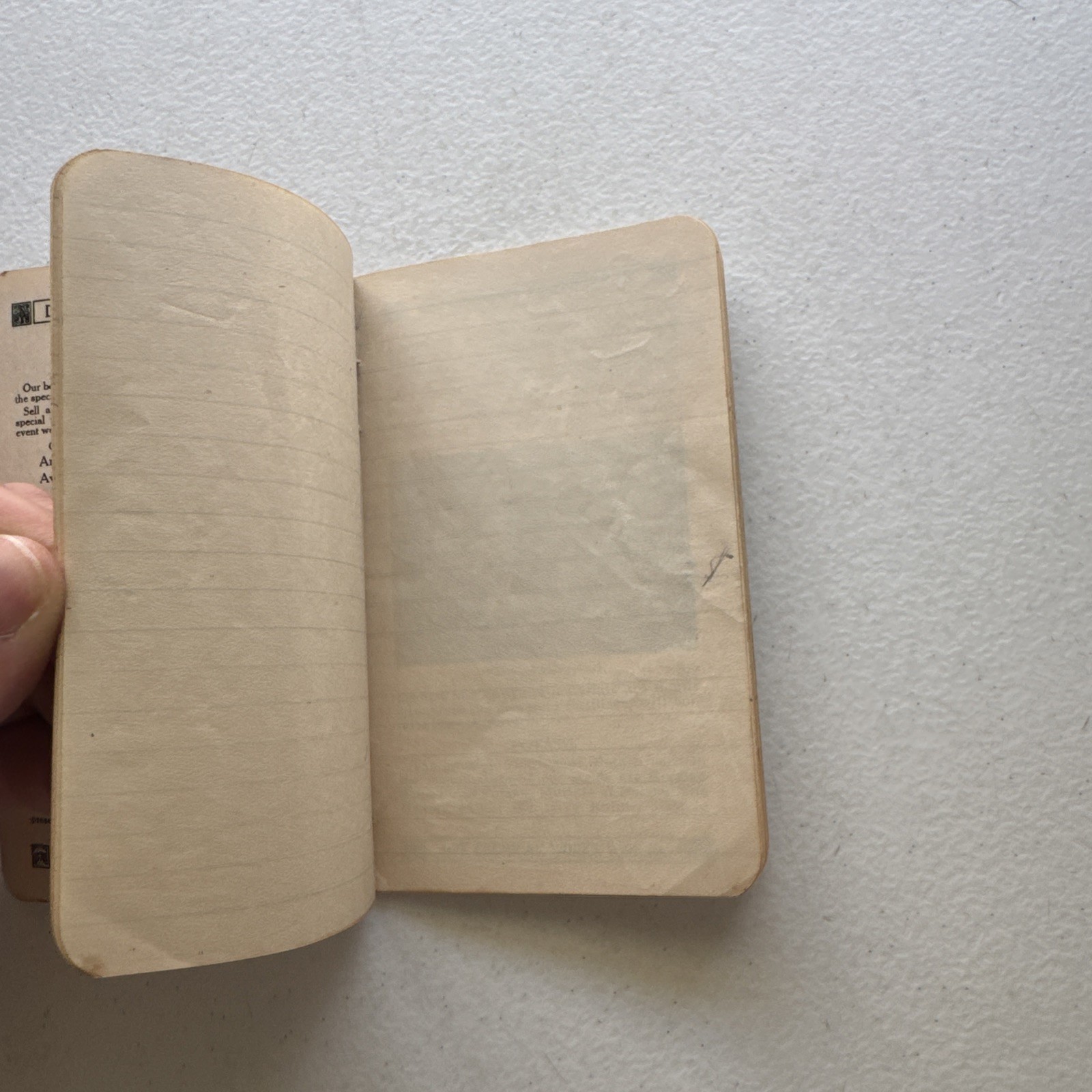 1917 Dempwolf&rsquo;s Fertilizers York Chemical Works York, PA Announcement Book