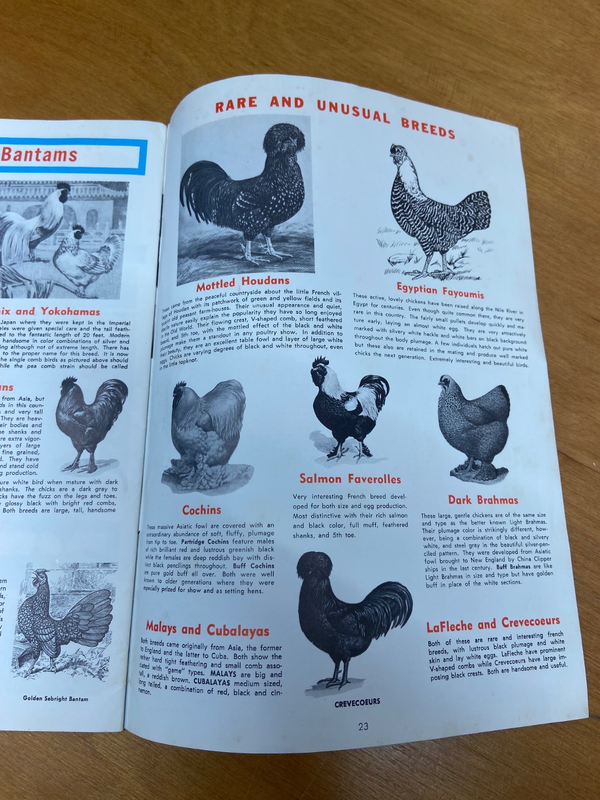 Murray McMurray Hatchery Catalog 1970&rsquo;s
