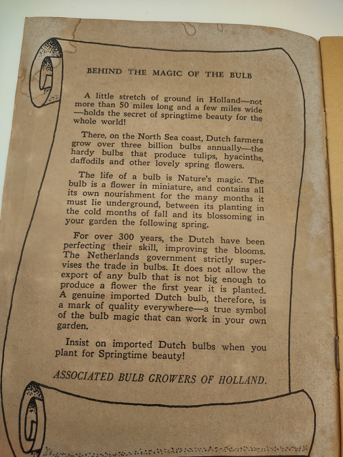 Vintage Ephemera – 1956 Bulb Magic Pamphlet – Bulb Growers Of Holland