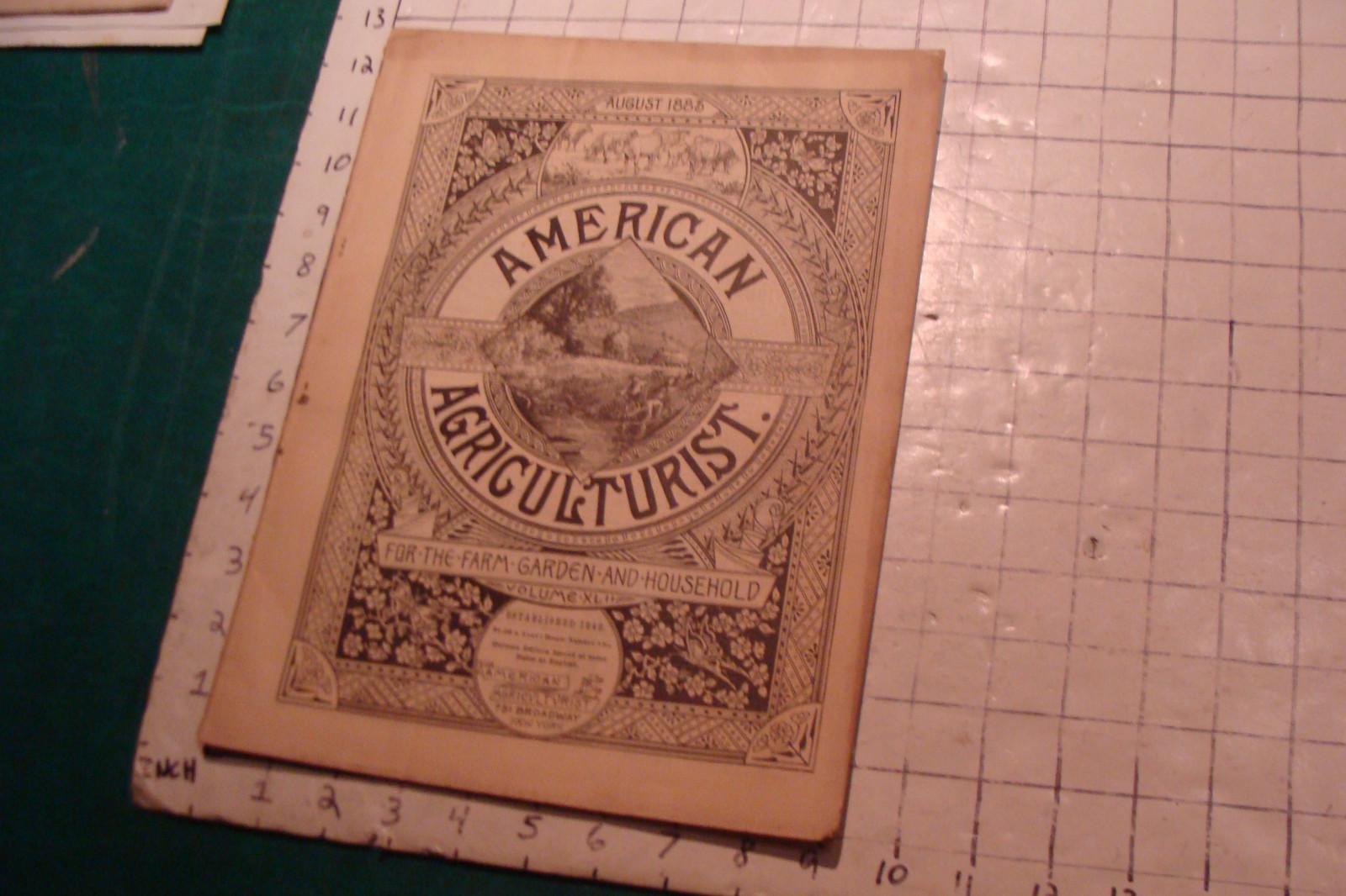 Vintage American Agriculturist 1883 august; great vignettes, horses running