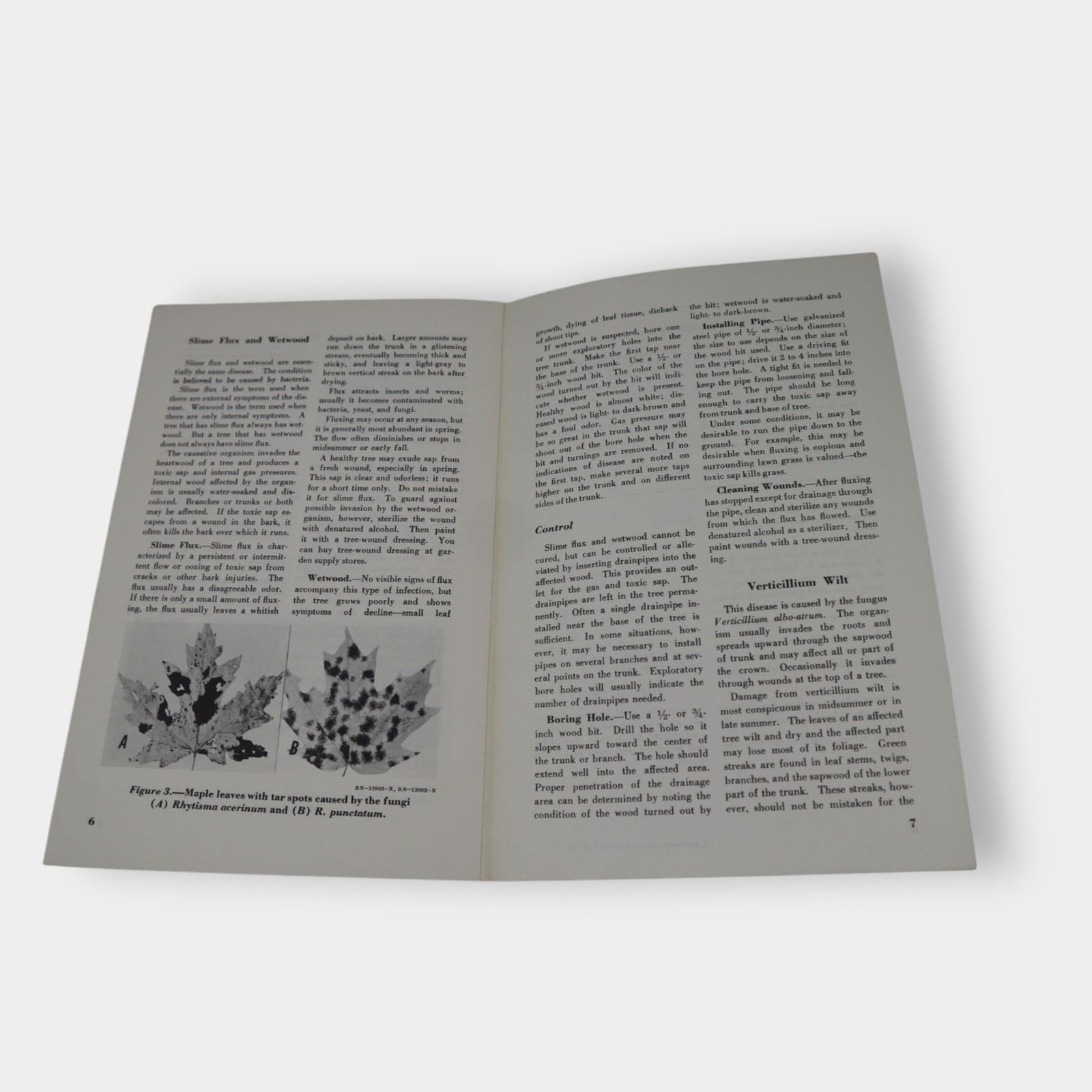 Vintage Garden & Agriculture Pamphlet Lot USDA Extension Lawn Weeds Roses