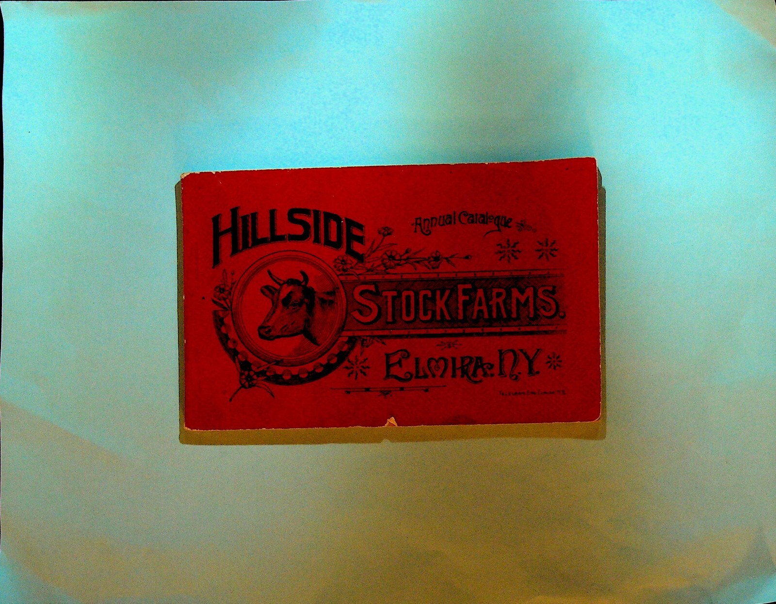 Hillside Stock Farm Elmira NY Booklet 1890s JJ Rush Jersey Cattle Horses