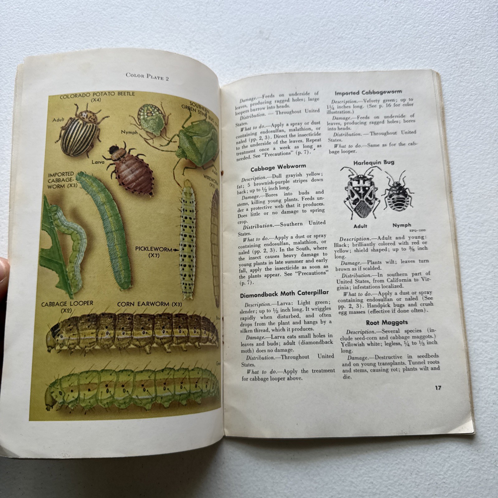 Insects and Diseases of Vegetables in the Home Garden USDA Bulletin No. 46