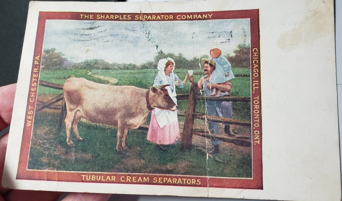 Sharples Separator Co Tubular Separators Advertising Postcard Cow 1909