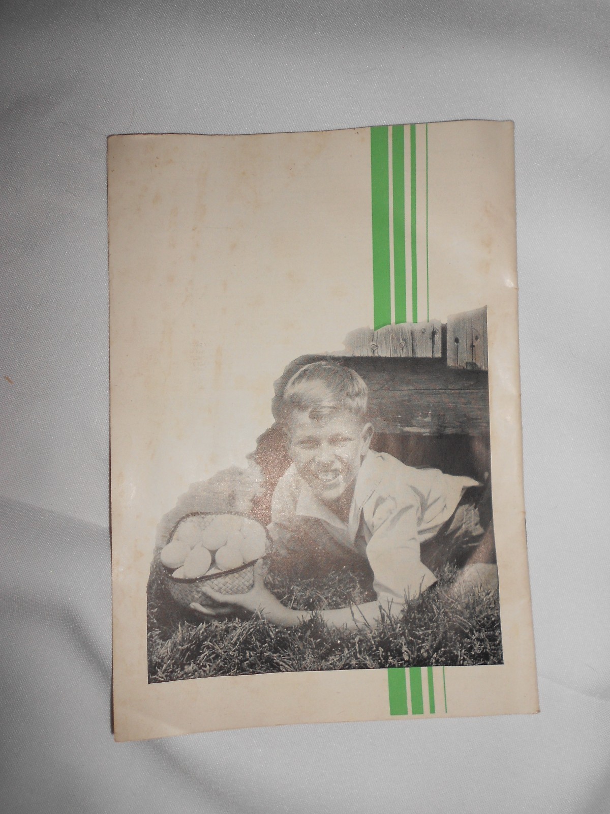 Vtg 1930 Northwestern Yeast Co Chicago Farm Advertising Chickens Pigs Booklet