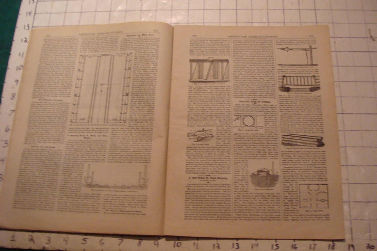 Vintage American Agriculturist 1879 May; great DOGS, SHEEP, MACHINES,