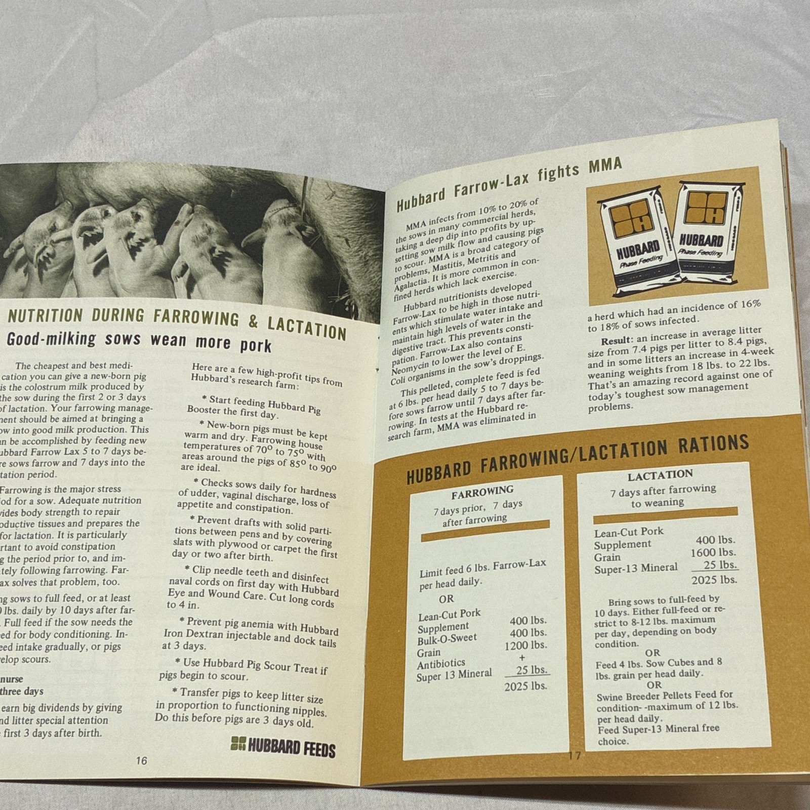 Hubbard Hog Profit Ideas Professional Pork System Original Advertising Brochure