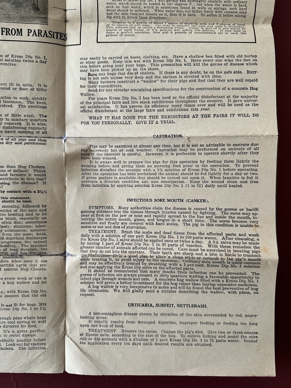 Vintage 1918 Kreso Dip No. 1 Brochure, Farm Sanitation, Etc., Parke, Davis & Co.