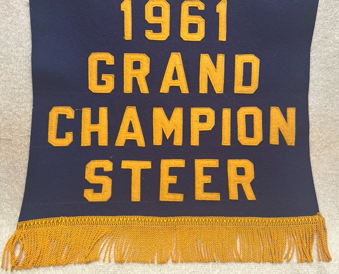 Vtg Banner Southwestern Indiana Angus Association 1961 Champion Steer 14X23 OOAK