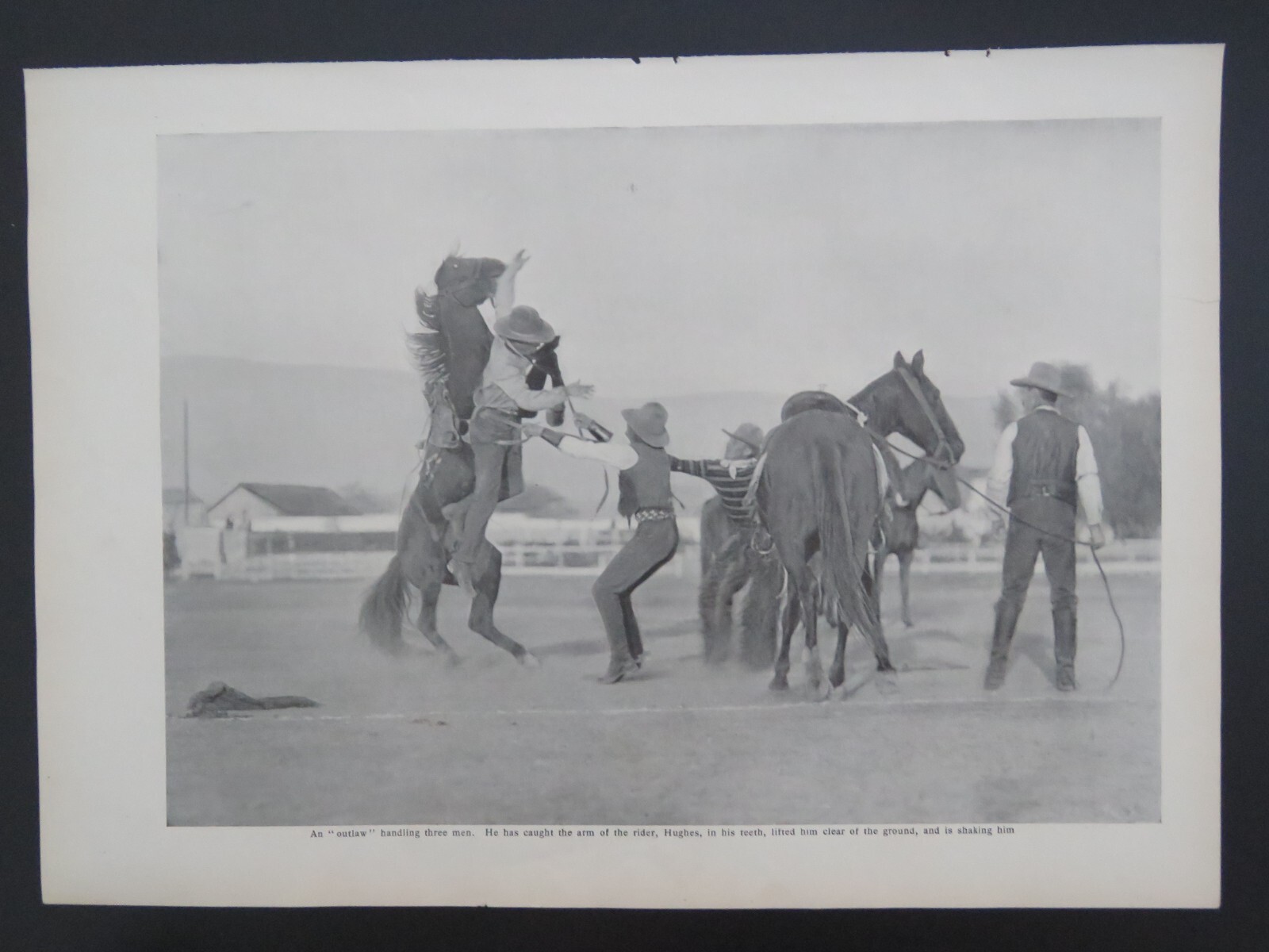 1905 B&W 9×13 Lithograph Cowboys Bronco Busting Outlaw Horses Article 2-sided