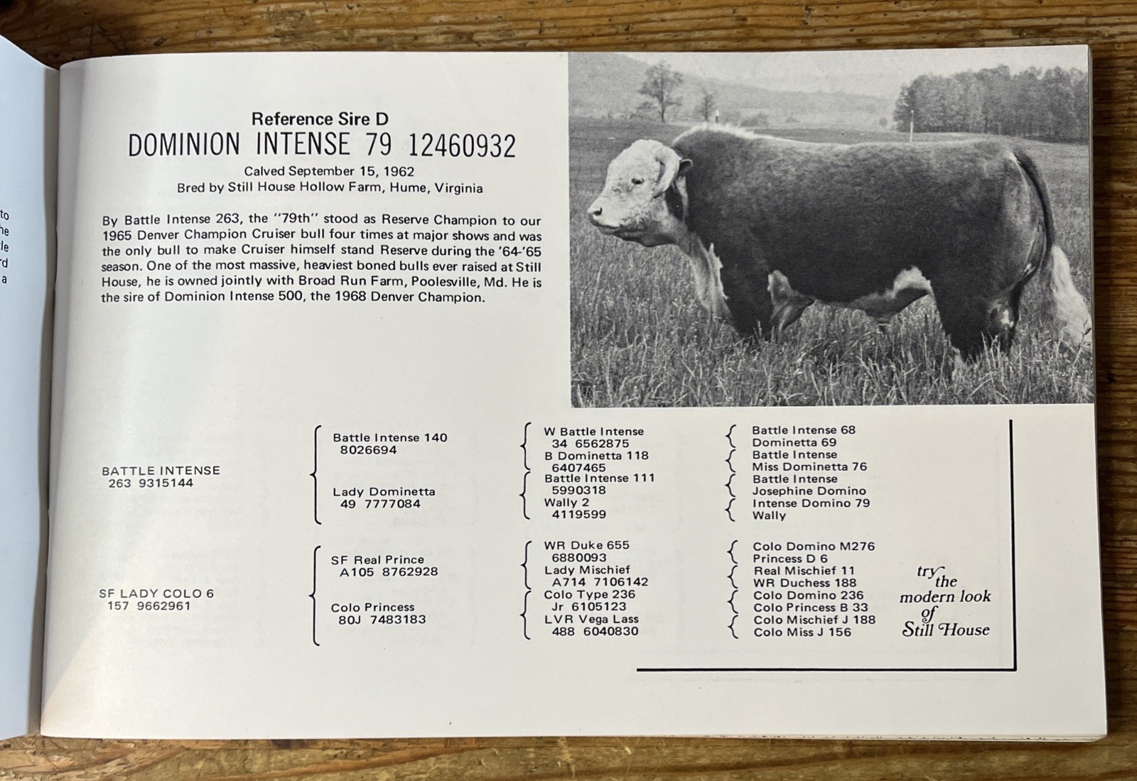 Vintage Still House Hollow Farm Hereford Cattle Sale Afton VA Auction Catalog