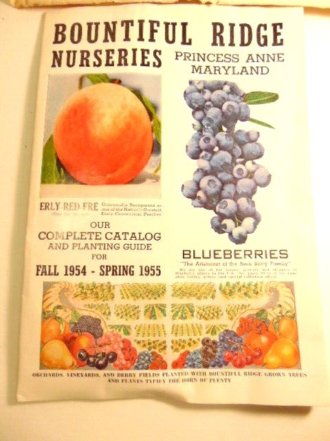Vintage Fall 1954 – Spring 1955 Bountiful Ridge Nurseries plant catalog