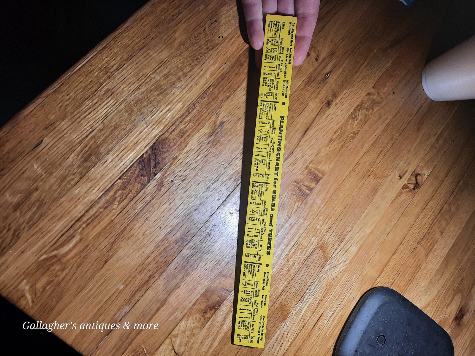 VINTAGE Rare Albemarle NC Stanley Hardware company ADVERTISING RULER Plant