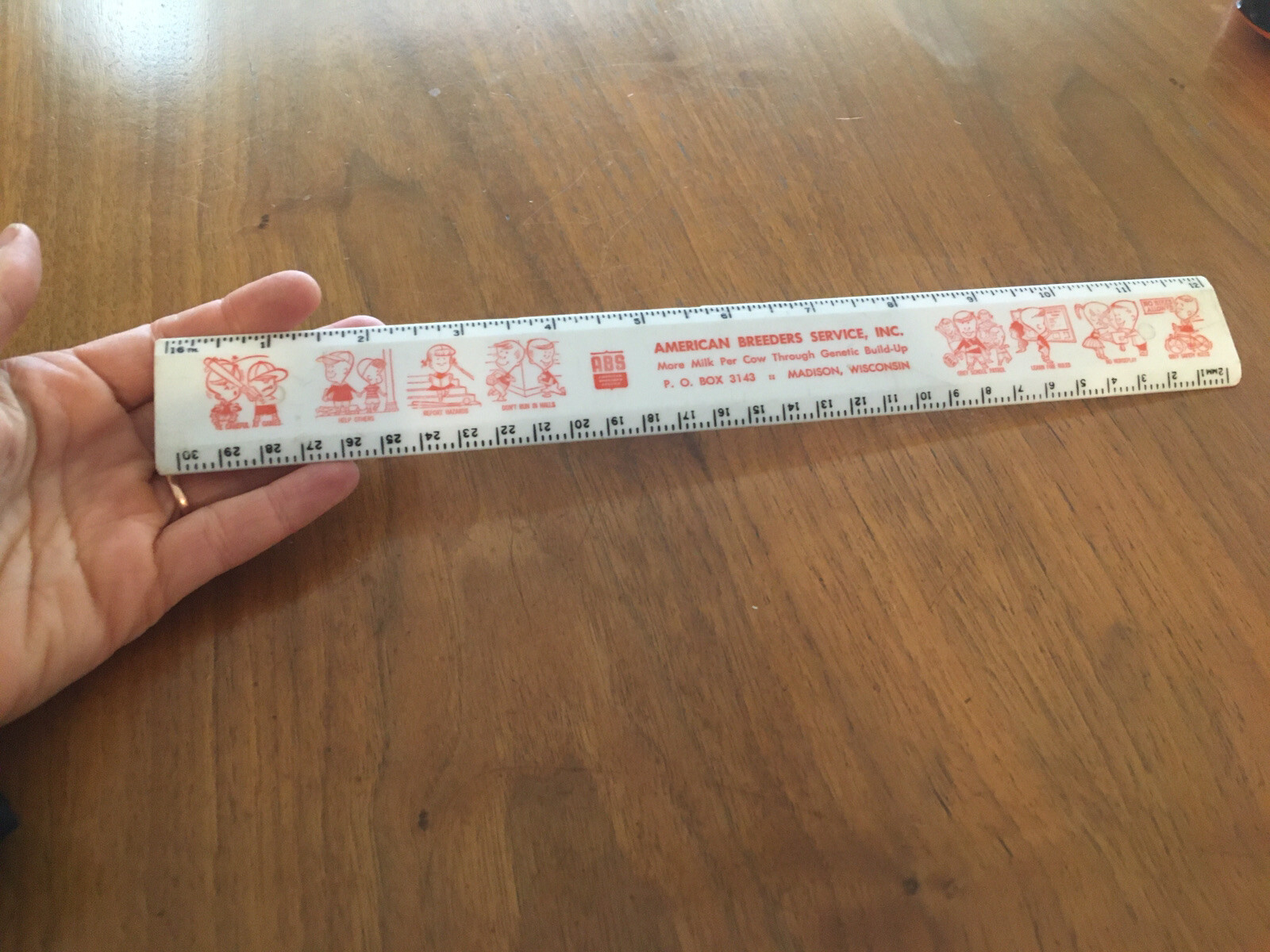 Vintage ABS american Breeders Service Ruler Rules Office Supply