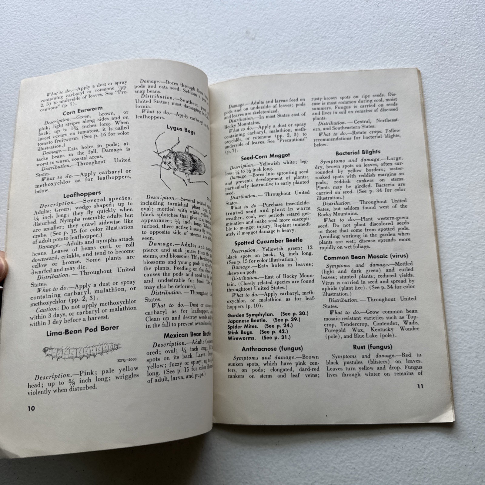 Insects and Diseases of Vegetables in the Home Garden USDA Bulletin No. 46