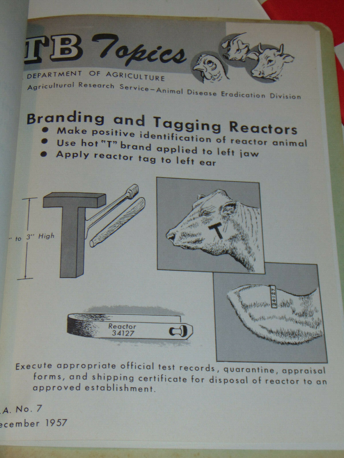 VINTAGE 1950s-60s USDA ANIMAL TUBERCULOSIS ERADICATION TB MANUAL! SMALL POSTERS!
