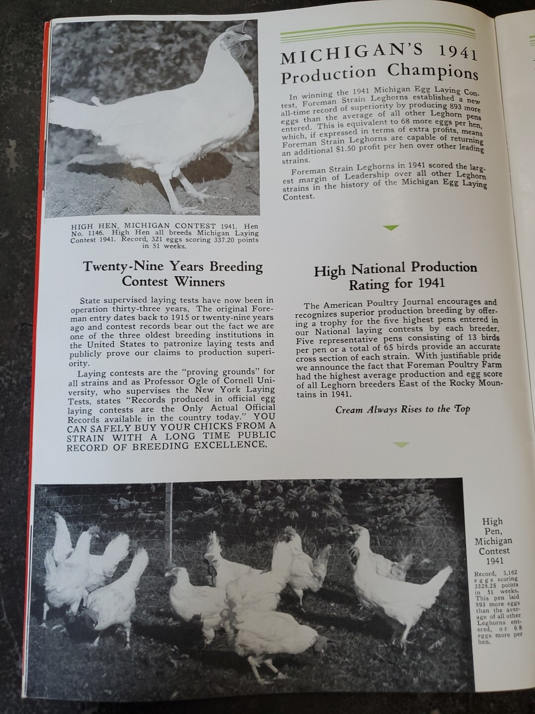 1944 Foreman Poultry Farm Catalog Chickens Beautiful & RARE 🐔