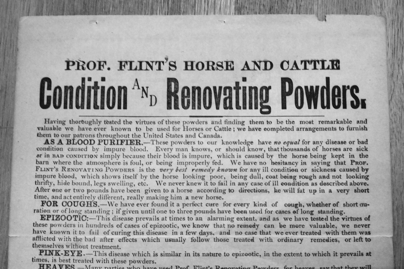 1893 Prof. Flint&rsquo;s Horse and Cattle Powders 2 Sided Ad Enosburg Falls, VT