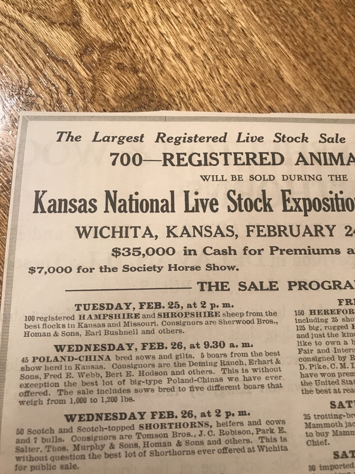 1919 Cattle Livestock Public Sale – Wichita – Kansas – Cow Advertising