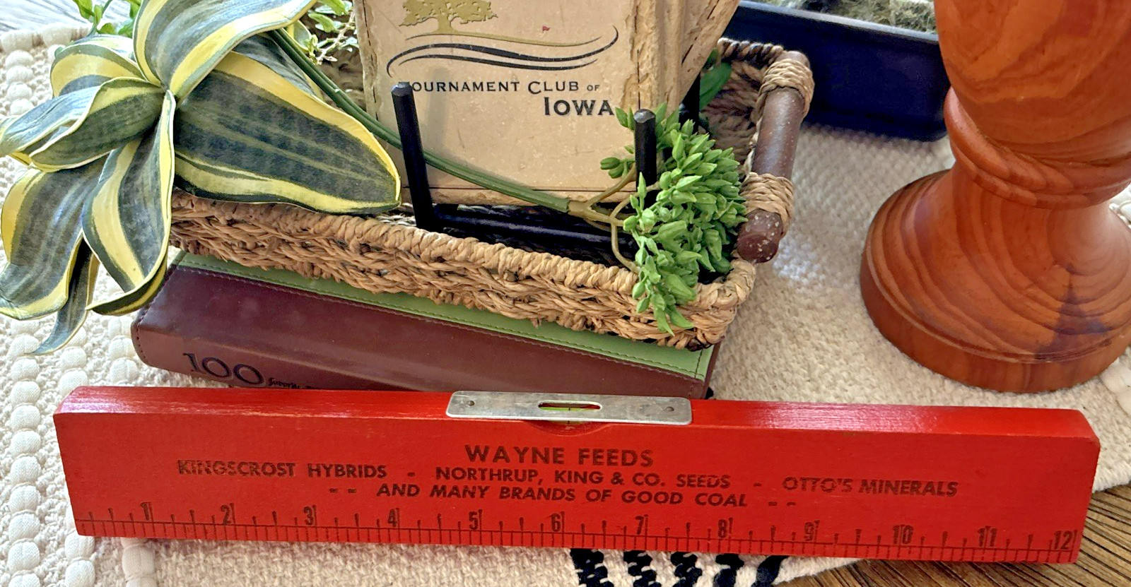 Wayne Feeds Kingcrost Hybrids Northrup King Seeds Farmers Elevator Level Alta IA