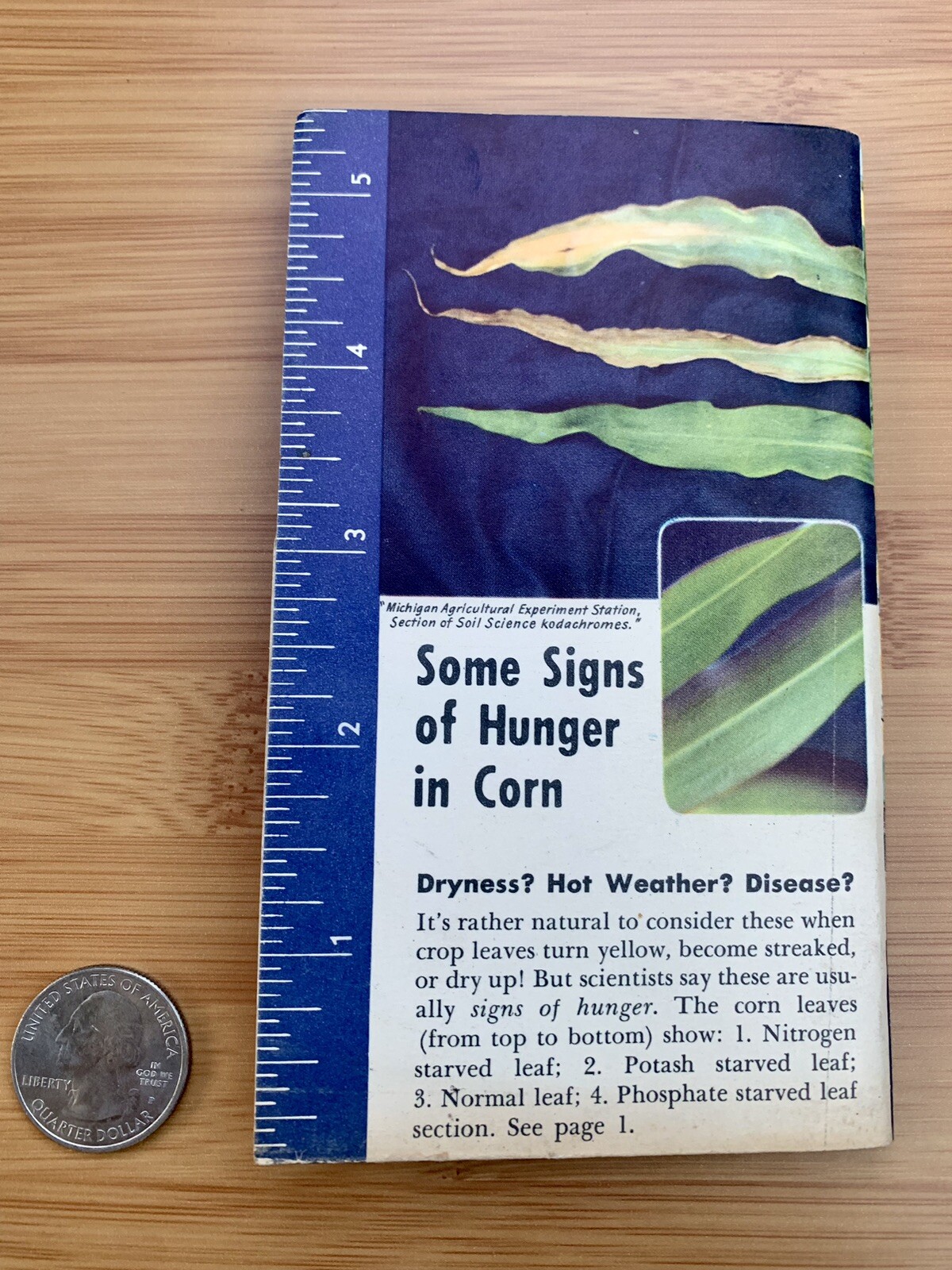 1949 1950 Vintage Farming Book Swift company plant crops food red steer corn FS