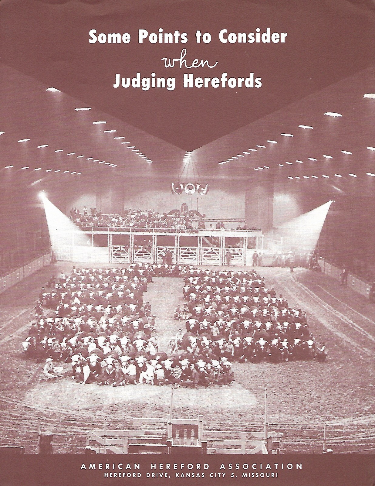 Farm Breed Brochure – Points to Consider When Judging Hereford Cattle (F8436)