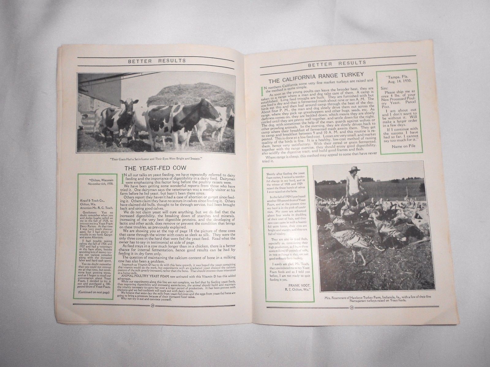 Vtg 1930 Northwestern Yeast Co Chicago Farm Advertising Chickens Pigs Booklet