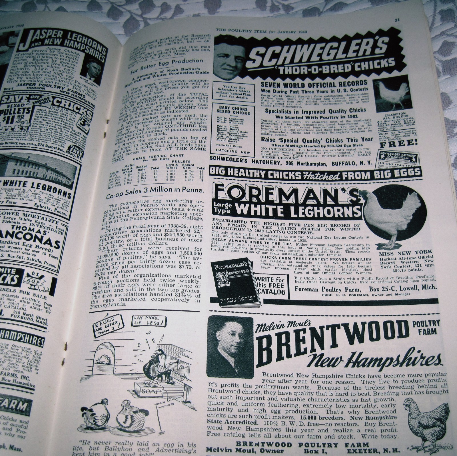 1940 Issue Poultry Item Magazine Sellersville, PA Poultry Farming Magazine