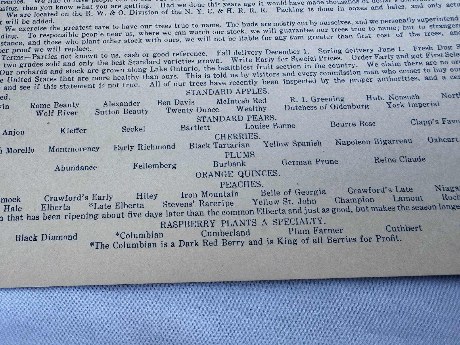Vintage 1940&rsquo;s Sales Mailer Postcard J H Teat&rsquo;s Sons Williamson NY Peach Apple