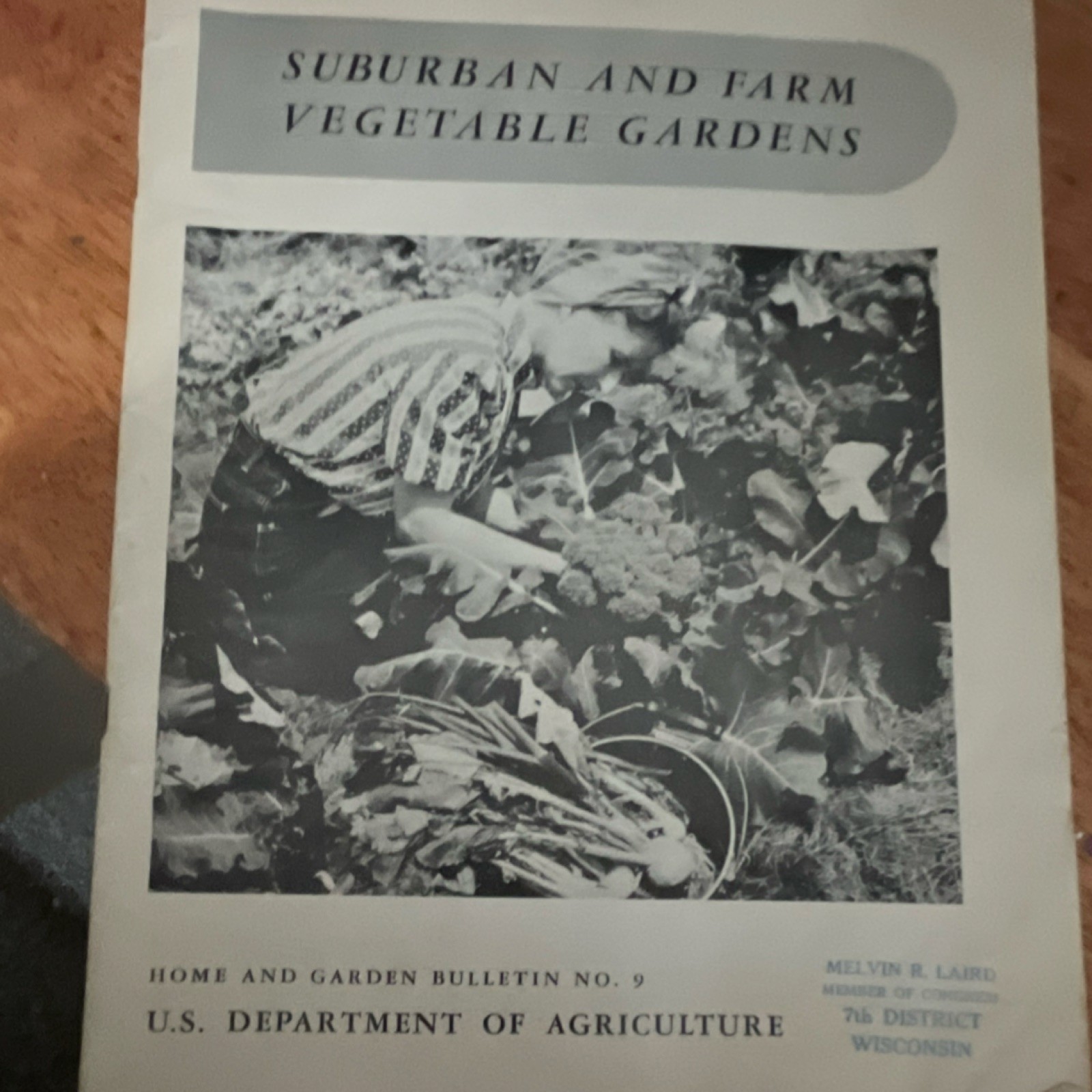 U.S. Department of Agriculture Suburban and Farm Vegetable Gardens Brochure 1967