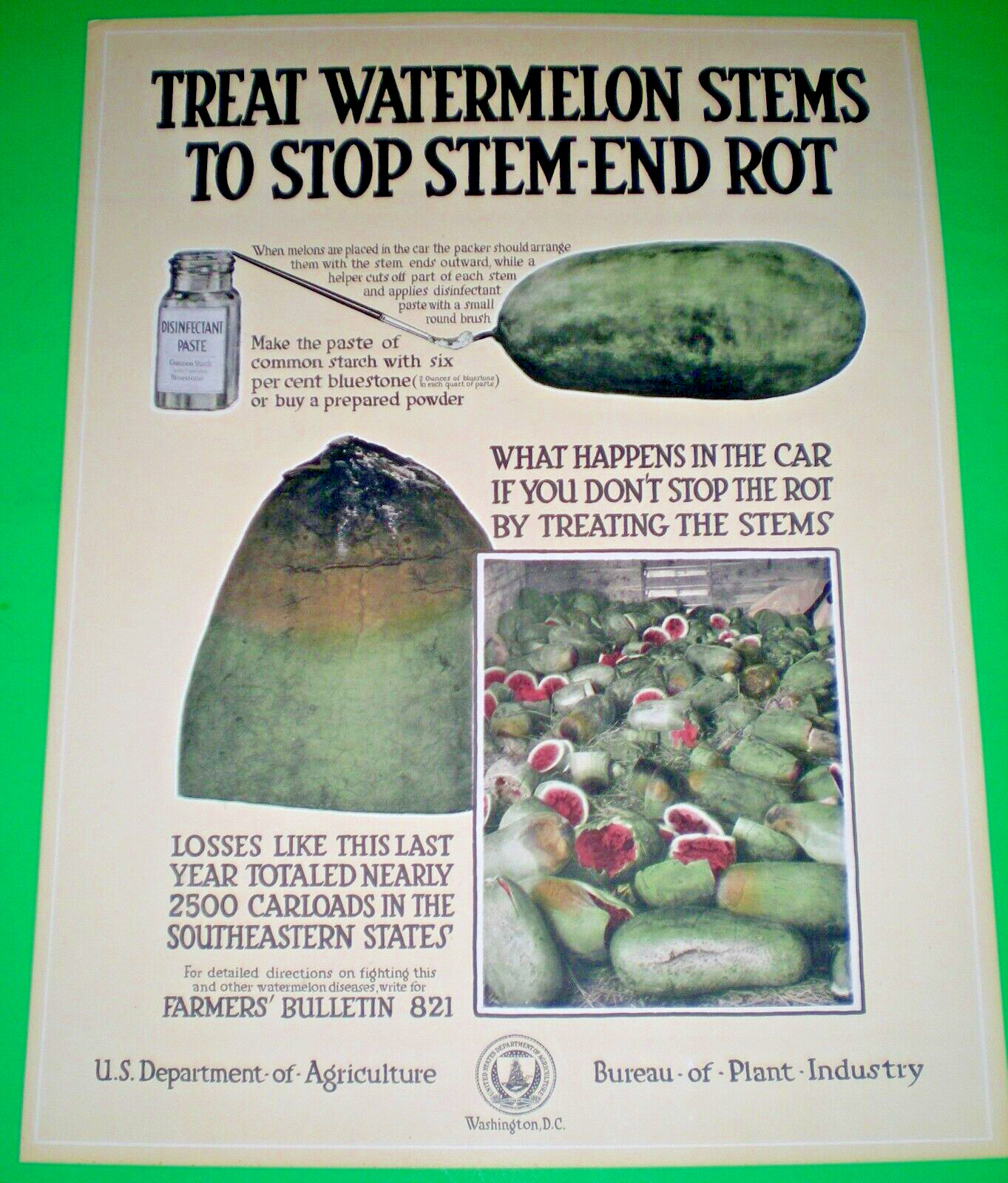 c1918 USDA Bureau of Plant Industry POSTER ~ TREAT WATERMELON STEMS ~ STOP ROT