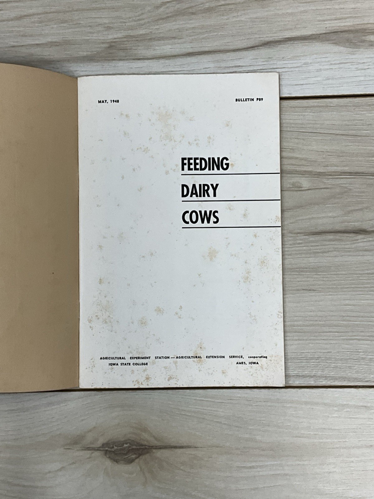 1948 Feeding Dairy Cows Bulletin P89 Iowa State College Farm Agriculture Guide