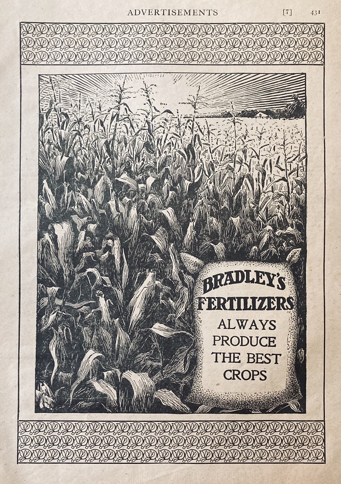 1901 AD(XH11)~BRADLEY FERTILIZER CO. BOSTON. BEST CROP FERTILIZERS