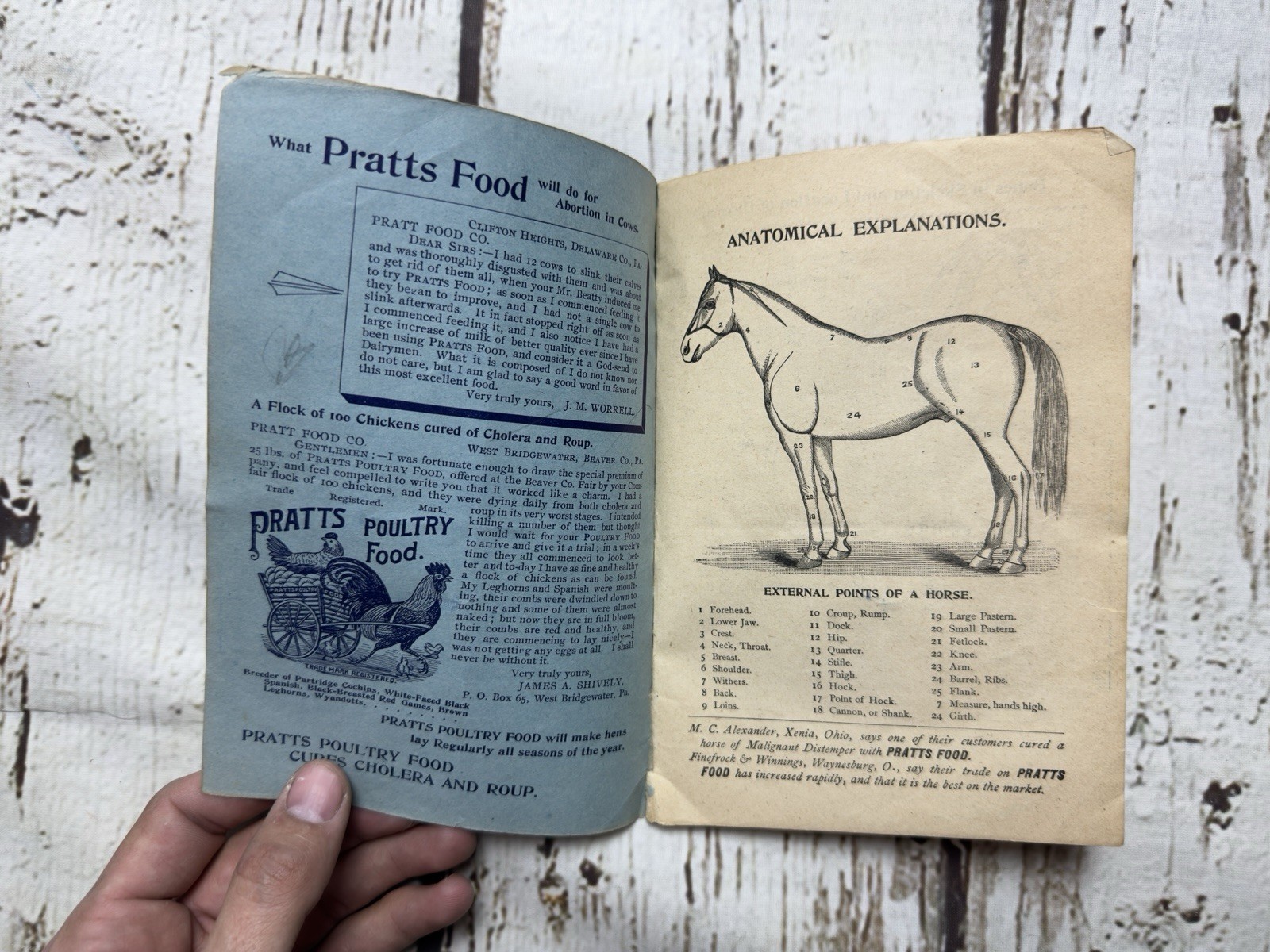 VTG Pratts Hand Book For Farmers Horse Owners Dairymen & Poultry Keepers Book