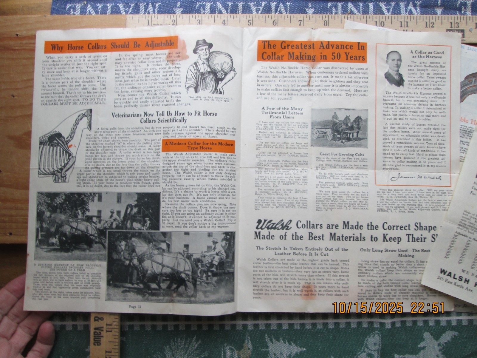 walsh harness co. horse collars brochure Mailer